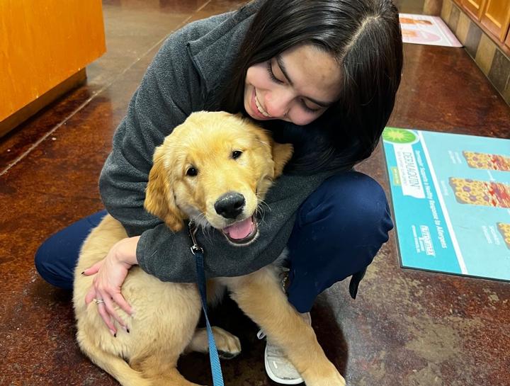 Puppy & Kitten Care 