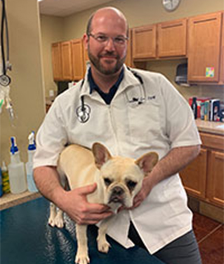 Dr Coalson Lacey Dvm Stonebridge Veterinary Hospital